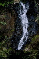 Majestic Waterfall in the Lush Rainforest of Viti Levu, Fiji