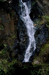 Fascinating Waterfall in the Lush Rainforest of Fiji