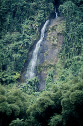 Discover the Beauty of a Picturesque Waterfall in the Rainforest of Viti Levu, Fiji