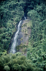 Discover the beauty of the Fijian rainforest with the picturesque waterfall on the Navua River