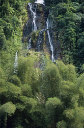 Magical Waterfall in the Lush Rainforest of Viti Levu, Fiji
