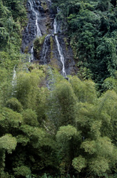 Fascinating Waterfall in the Exotic Jungle of Fiji - Discover a Natural Wonder