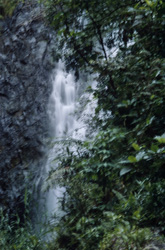 Majestic Waterfall in the Lush Rainforest of Fiji