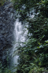 Explore the beauty of a majestic waterfall in the tropical rainforest of Fiji