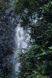 Majestic Waterfall in the Tropical Rainforest of Fiji