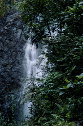 Idyllic Waterfall in the Lush Jungle of Viti Levu, Fiji