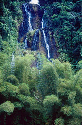 Majestic waterfall in the Fijian rainforest - a natural wonder to fall in love with