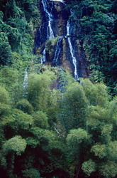 Idyllic Waterfall in the Heart of the Fascinating Rainforest of Fiji