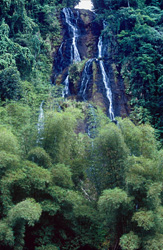 Sublime Waterfall in the Lush Rainforest of Fiji