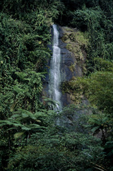 Idyllic Waterfall in the Lush Rainforest of Fiji
