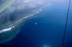 An impressive aerial view of Shark Reef in Beqa Lagoon, Fiji, featuring the dive boat and intriguing insights into shark research