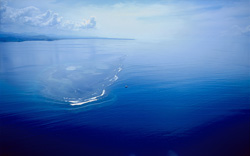 Luftaufnahme des Shark Reefs in der Beqa Lagune auf Fidschi