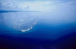 Spektakuläre Luftaufnahme des Shark Reef Marine Reserves in der Beqa Lagoon, Fidschi