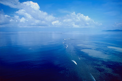 Breathtaking aerial view of Shark Reef in Beqa Lagoon, Fiji