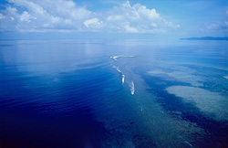 Von der Mündung des Qara-ni-Qio River sind es mit einem Ultraleichtflugzeug nur wenige Flugminuten bis zum Shark Reef in der Beqa Lagoon auf Vitu Levu.