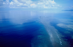 Explore the fascinating Shark Reef Marine Reserve in Beqa Lagoon, Fiji, from a bird's eye view