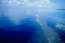 Erleben Sie das faszinierende Shark Reef in der Beqa Lagune auf Fiji aus der Luft