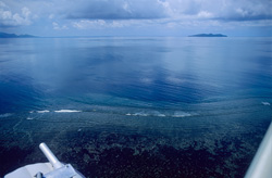 Experience Shark Reef in Beqa Lagoon from a bird's eye view