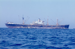 Cargo Ship against picturesque backdrop of under construction port of Richards Bay, South Africa
