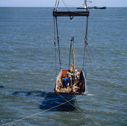 Fascinante estudio del suelo en el North Breakwater en Richards Bay